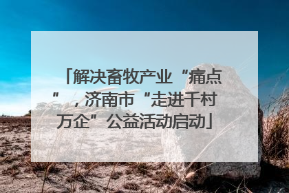 解决畜牧产业“痛点”，济南市“走进千村万企”公益活动启动