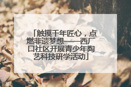 触摸千年匠心，点燃非遗梦想——西厂口社区开展青少年陶艺科技研学活动