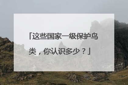 这些国家一级保护鸟类，你认识多少？