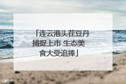 连云港头茬豆丹捕捉上市 生态美食大受追捧