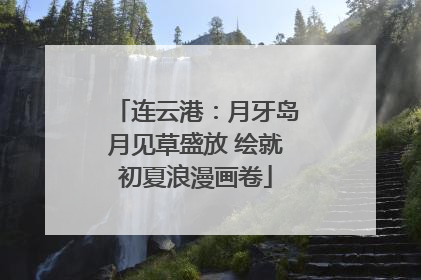 连云港：月牙岛月见草盛放 绘就初夏浪漫画卷