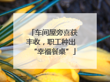 车间屋旁喜获丰收，职工种出“幸福餐桌”