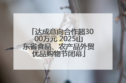 达成意向合作超3000万元 2025山东省食品、农产品外贸优品购物节闭幕