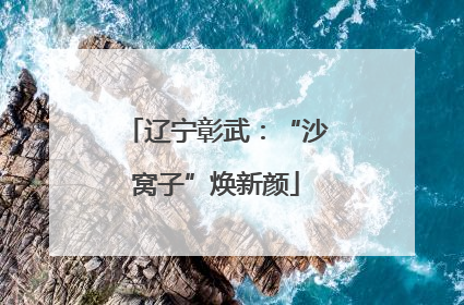 辽宁彰武：“沙窝子”焕新颜