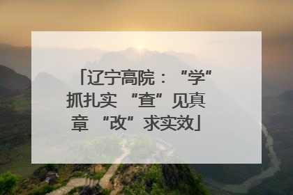 辽宁高院：“学”抓扎实 “查”见真章 “改”求实效