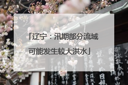 辽宁：汛期部分流域可能发生较大洪水
