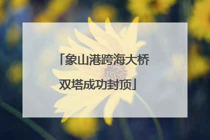 象山港跨海大桥双塔成功封顶