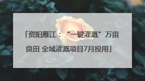 资阳雁江：“一键灌溉”万亩良田 全域灌溉项目7月投用