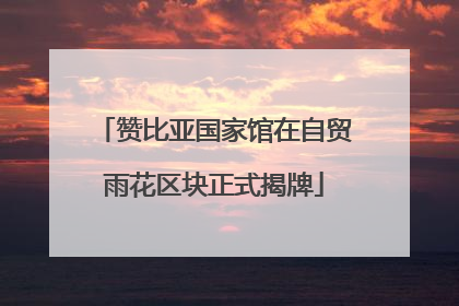 赞比亚国家馆在自贸雨花区块正式揭牌