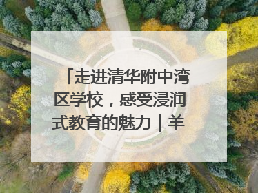 走进清华附中湾区学校，感受浸润式教育的魅力｜羊城名校行