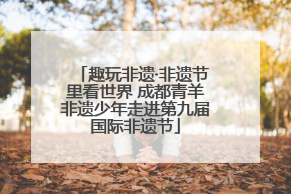 趣玩非遗·非遗节里看世界 成都青羊非遗少年走进第九届国际非遗节