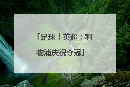 足球丨英超：利物浦庆祝夺冠