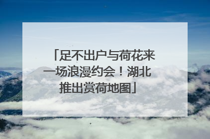 足不出户与荷花来一场浪漫约会！湖北推出赏荷地图