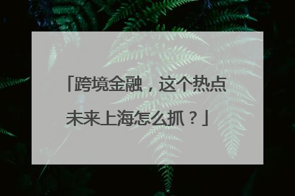 跨境金融，这个热点未来上海怎么抓？