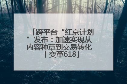 跨平台“红京计划”发布：加速实现从内容种草到交易转化丨变革618