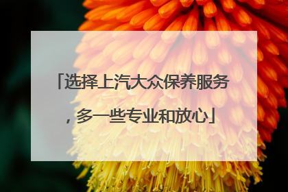 选择上汽大众保养服务，多一些专业和放心