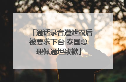 通话录音遭泄露后被要求下台 泰国总理佩通坦致歉