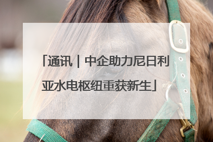 通讯｜中企助力尼日利亚水电枢纽重获新生