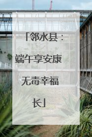 邻水县：端午享安康 无毒幸福长