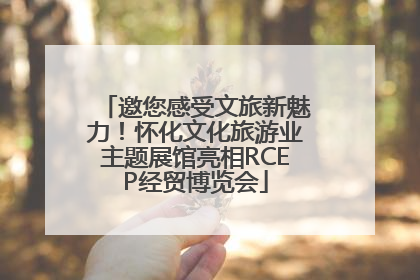 邀您感受文旅新魅力！怀化文化旅游业主题展馆亮相RCEP经贸博览会