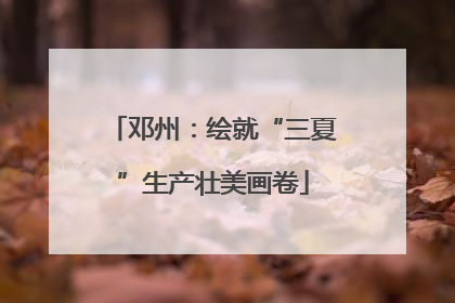 邓州：绘就“三夏”生产壮美画卷