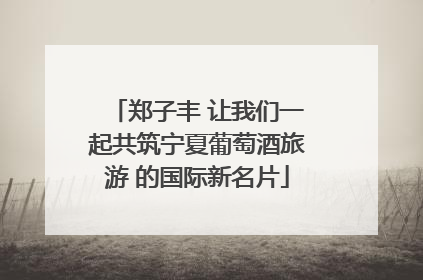 郑子丰 让我们一起共筑宁夏葡萄酒旅游 的国际新名片