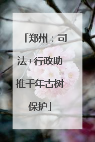 郑州：司法+行政助推千年古树保护