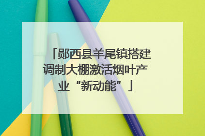 郧西县羊尾镇搭建调制大棚激活烟叶产业“新动能”