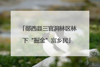 郧西县三官洞林区林下“掘金”富乡民
