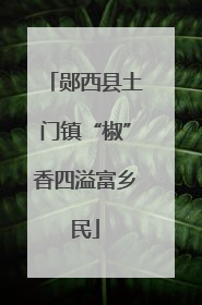 郧西县土门镇“椒”香四溢富乡民