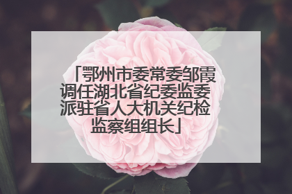 鄂州市委常委邹霞调任湖北省纪委监委派驻省人大机关纪检监察组组长