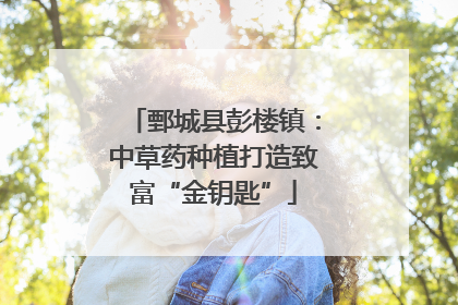 鄄城县彭楼镇：中草药种植打造致富“金钥匙”