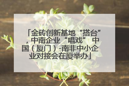 金砖创新基地“搭台”，中南企业“唱戏” 中国（厦门）-南非中小企业对接会在厦举办
