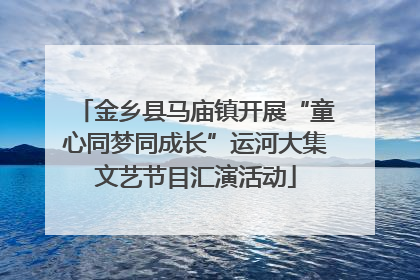 金乡县马庙镇开展“童心同梦同成长”运河大集文艺节目汇演活动