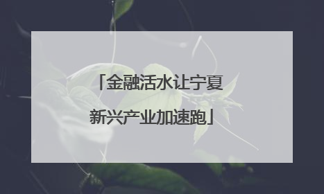金融活水让宁夏新兴产业加速跑