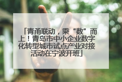 青甬联动，乘“数”而上！青岛市中小企业数字化转型城市试点产业对接活动在宁波开班