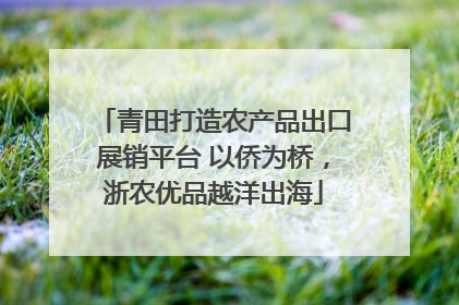 青田打造农产品出口展销平台 以侨为桥，浙农优品越洋出海