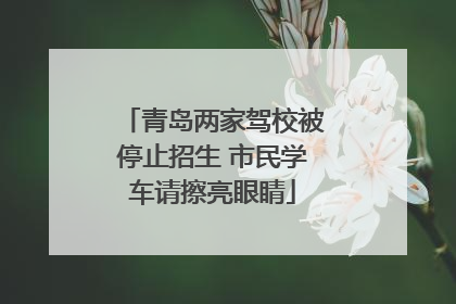 青岛两家驾校被停止招生 市民学车请擦亮眼睛