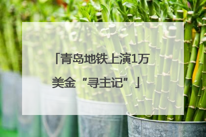 青岛地铁上演1万美金“寻主记”