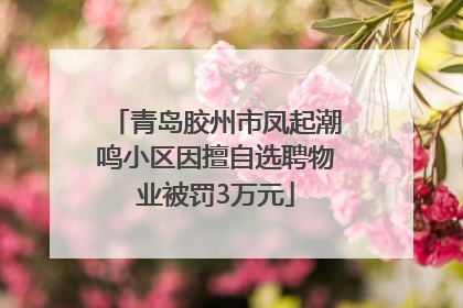青岛胶州市凤起潮鸣小区因擅自选聘物业被罚3万元