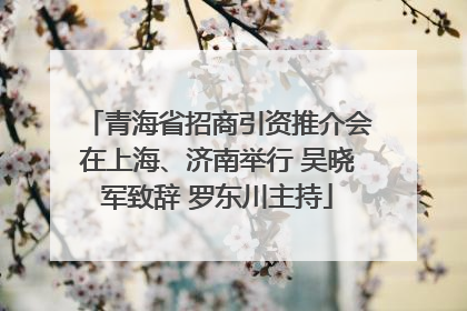 青海省招商引资推介会在上海、济南举行 吴晓军致辞 罗东川主持