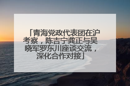 青海党政代表团在沪考察，陈吉宁龚正与吴晓军罗东川座谈交流，深化合作对接