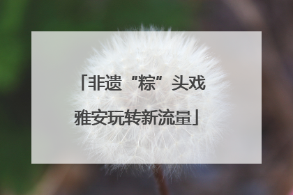 非遗“粽”头戏 雅安玩转新流量