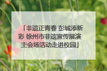 非遗正青春 彭城添新彩 徐州市非遗宣传展演主会场活动走进校园