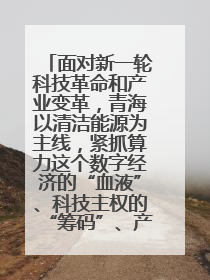 面对新一轮科技革命和产业变革，青海以清洁能源为主线，紧抓算力这个数字经济的“血液”、科技主权的“筹码”、产业升级的“杠杆”、绿色转型的“支点”，勇于撬动国家“双碳”战略、“东数西算”工程重大发展新机遇