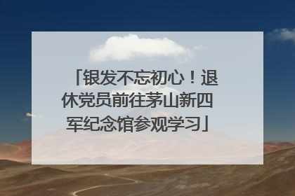 银发不忘初心！退休党员前往茅山新四军纪念馆参观学习