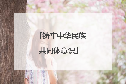 铸牢中华民族共同体意识