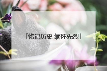 铭记历史 缅怀先烈