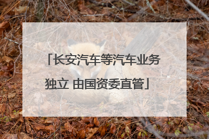长安汽车等汽车业务独立 由国资委直管