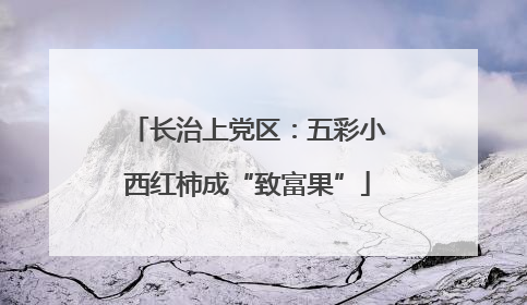 长治上党区：五彩小西红柿成“致富果”